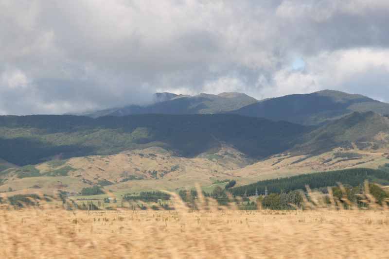 Nieuw-Zeeland 2011 - 1743